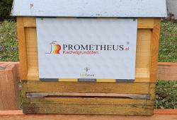 Prometheus - Bienen